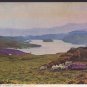 Betws-y-Coed Lake Elsi Postcard JUDEGS