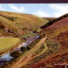 The Doone Valley , Exmoor Postcard - J.Salmon