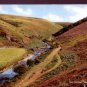 The Doone Valley , Exmoor Postcard - J.Salmon
