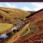 The Doone Valley , Exmoor Postcard - J.Salmon