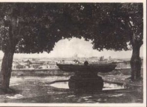 Roma - S. Pietro Da Vila Medicil  Postcard