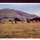 Druids Circle and Sandleback C.P. Abraham Ltd  Postcard