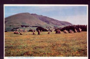 Druids Circle and Sandleback C.P. Abraham Ltd  Postcard