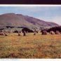 Druids Circle and Sandleback C.P. Abraham Ltd  Postcard
