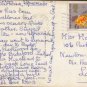 Peter and Paul Clovelly Postcard 1964