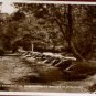 Tarr Steps Exmoor Postcard  Valentine  RP