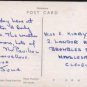 Royal Pavilion Brighton Postcard   -  Constance