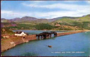 The Viaduct and Cader Idris, Barmouth Postcard  1966  Salmon Series