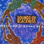 Sounds Of Blackness - Everything Is Gonna Be Alright - UK 12" Single