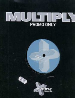 Sister Bliss - Sister Sister - UK Promo 12" Single