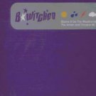 B*Witched - Blame It On The Weatherman - UK Promo 12" Single