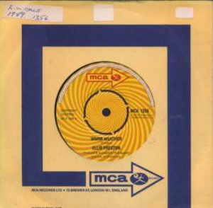 Tutti Frutti - The Little Richard Megatoons Mix - UK 7" Single