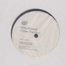 Kinky Roland - I Saw The Sun - UK Promo 12" Single
