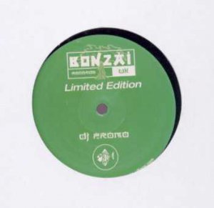 Yves Deruyter - Back To Earth - UK Promo 12" Single