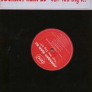 Journey Man DJ - Can You Dig It? - UK Promo 12" Single
