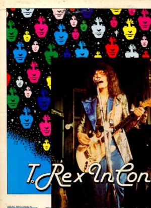 T-Rex - In Concert - UK LP