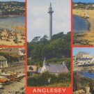 ANGLESEY   -  Postcard : Salmon 1988