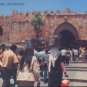 JERUSLAM , THE OLD CITY POSTCARD - View of Damascus Gate