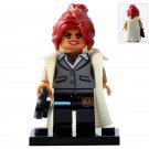 LEGO Compatible The Lego Batman Movie DC Barbara Gordon Custom Printed Minifigure Brick Toys