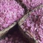 Rose Dance 100% natural botanical fragrance, sustainable, Earth-friendly