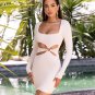 Sexy Hollow Out Long Sleeve Mini Dress