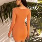 Sexy Hollow Out Long Sleeve Mini Dress