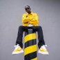 A Yellow Jacket