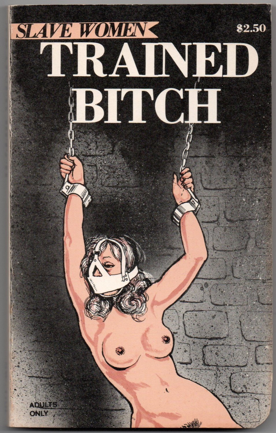 Bdsm erotica novels