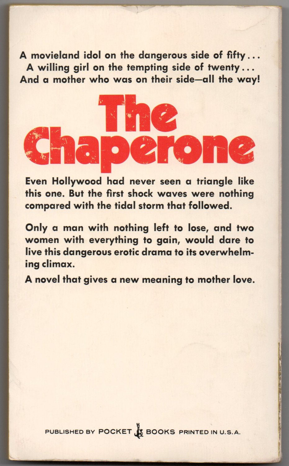 the chaperone book
