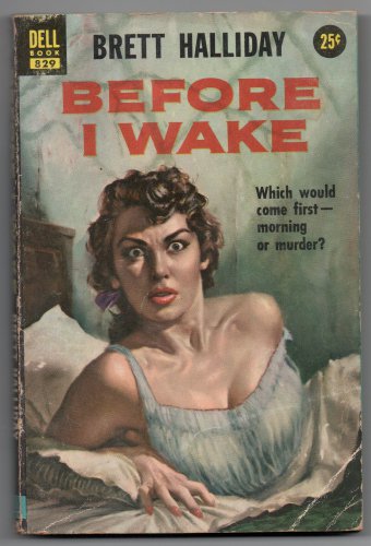 Before I Wake by Brett Halliday 1949 Dell Book 829 vintage paperback Robert Schulz GGA