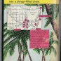 Vintage Map Back Dell 533 This is It Michael Shayne by Brett Halliday Robert Stanley
