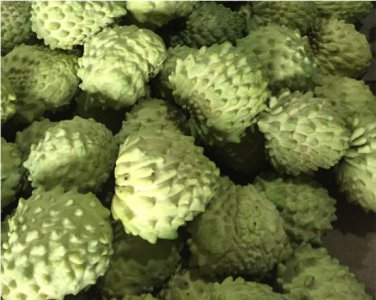 Sugar Apple Seeds Sweetsop Custard Apple Fruits 30 Seeds