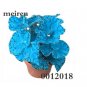 200 pcs Begonia Flower Seed Flowers  BSeed Garden Courtyard Balcony Coleus for Flowers Seedling Outd