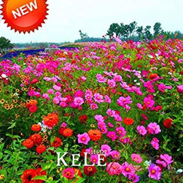 200 /Lot Wildflowers Combination  Waterlogging Tolerance Wildflowers Mix Garden Aromatic Fragrant,#4