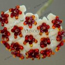 24 Color Hoya Flower Flores  Perennial  Hoya Carnosa e  as Pot  for 100Pcs T2