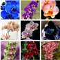 200 Pcs Phalaenopsis Orchid  Butterfly Orchid flower seeds
