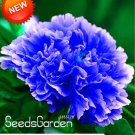 Precious Species of Blue Peony Flower  10 SEEDS