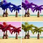 20 SEEDS Japan Blue Bottle Palm s Multi-Color Exotic s Tree Balcony