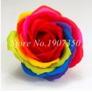 Hot Selling  Climbing Rose Flower Mix Colors Beautiful Rose 100 SEEDS
