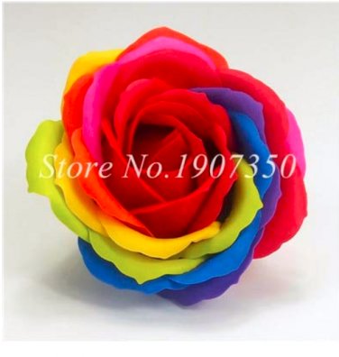 Hot Selling  Climbing Rose Flower Mix Colors Beautiful Rose 100 SEEDS