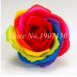 Hot Selling  Climbing Rose Flower Mix Colors Beautiful Rose 100 SEEDS