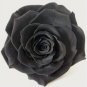 Exotic Rainbow Rose s Mixed Colors Rosa 100 SEEDS T1
