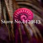 100 SEEDS Garden Edible Fern   Creeper Vines Grass Mixed Foliag