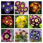Loss Promotion! Genuine!!! 100 seeds