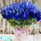 100 SEEDS French Provence Lavender  Beautiful Flower T2