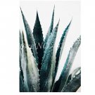 150 SEEDS Aloe Vera  Succulent Lucky Aloe s Indoor  Edible Garden Beauty Fruit Vegeable Pot a Easy G