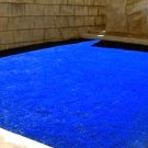 500 SEEDS Exotic Grass Lawn Golf Lawn Grass