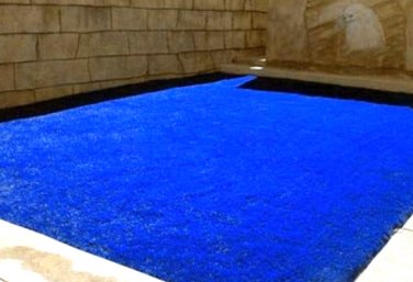 500 SEEDS Exotic Grass Lawn Golf Lawn Grass