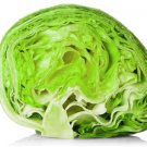 Iceberg heading lettuce 1000  SEEDS