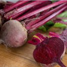 Ruby Queen Beet 60 SEEDS Buttery Retains color Exceptionally tender Bulk